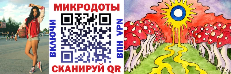 Галлюциногенные грибы мухоморы  где продают наркотики  Руза 